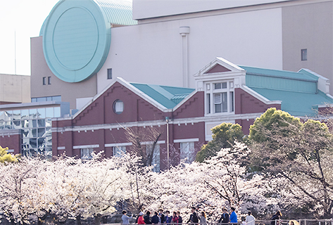 大阪・造幣局の桜と観光船